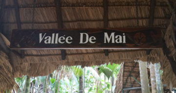 Seychellen - Vallée de Mai