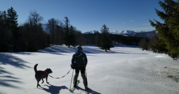 Hunde Skitour
