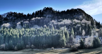 Wanderung mit Hunden auf die Falkensteinmauer