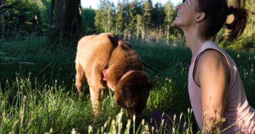 Sanfter Wald Yoga Flow