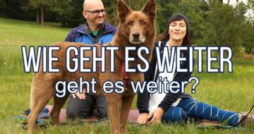 Wie geht es weiter - geht es weiter?